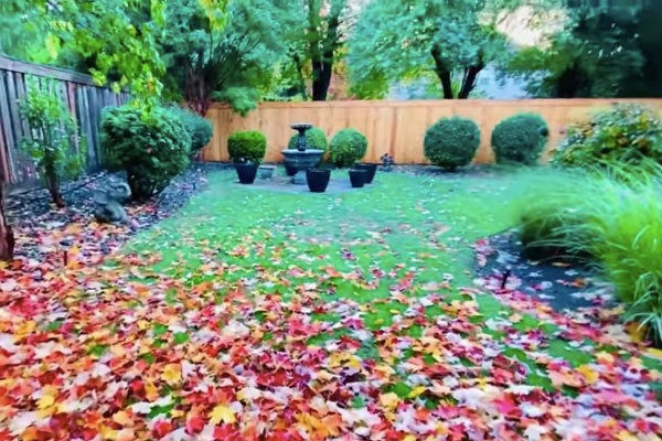 Căn biệt thự được xây dựng chủ yếu bằng gỗ, với lối kiến trúc Tây phương, nhìn khá ấm cúng.