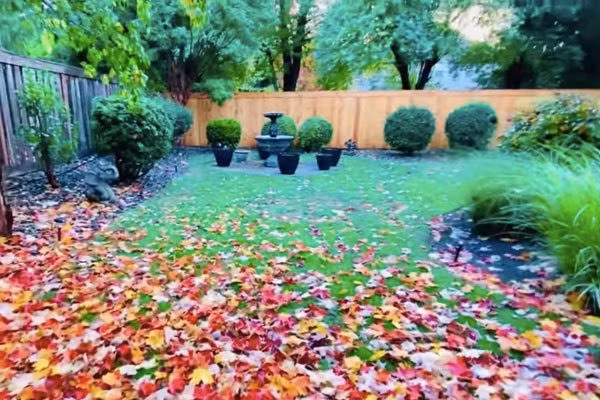 Căn biệt thự được xây dựng chủ yếu bằng gỗ, với lối kiến trúc Tây phương, nhìn khá ấm cúng.