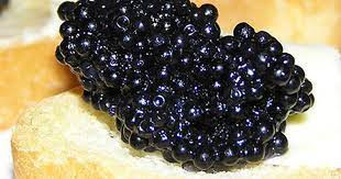 Thế nhưng, vào thế kỷ 19, các loại cá tầm ở Mỹ phổ biến tới mức món trứng của nó được tặng thêm cho khách tới mua hàng. Còn tại châu Âu, những người ngư dân từng vứt bỏ nó trên bãi biển hoặc đem cho lợn ăn. Ảnh: BI