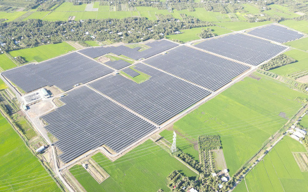 Bamboo Capital lai lon, tham vong thau tom Bao hiem AAA