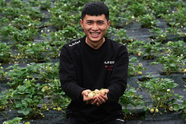 Can canh khu vuon nghin goc dau dat nhat the gioi cua 9X Da Lat