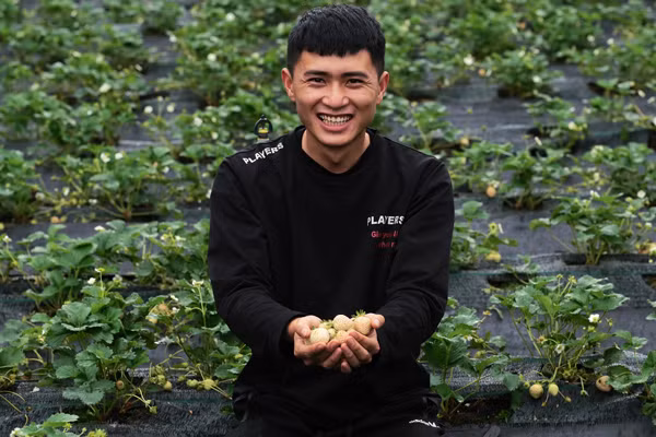 Can canh khu vuon nghin goc dau dat nhat the gioi cua 9X Da Lat