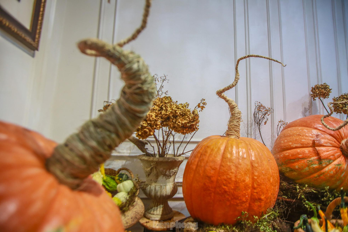 Năm nay, cửa hàng của anh mới nhập về một đợt 30 quả nhưng đã hết veo trong chưa đầy một tuần. Ảnh: Tiền phong.