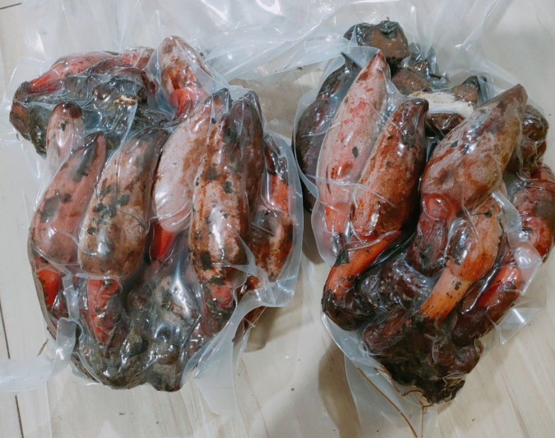 Loại đặc sản này thường mọc trong rừng sâu, tìm mua không dễ. Các tiểu thương phải gom nhiều mối mà mỗi tháng cũng chỉ thu mua được khoảng vài chục kg, rao bán chỉ 3-4 ngày là hết. Ảnh Facebook