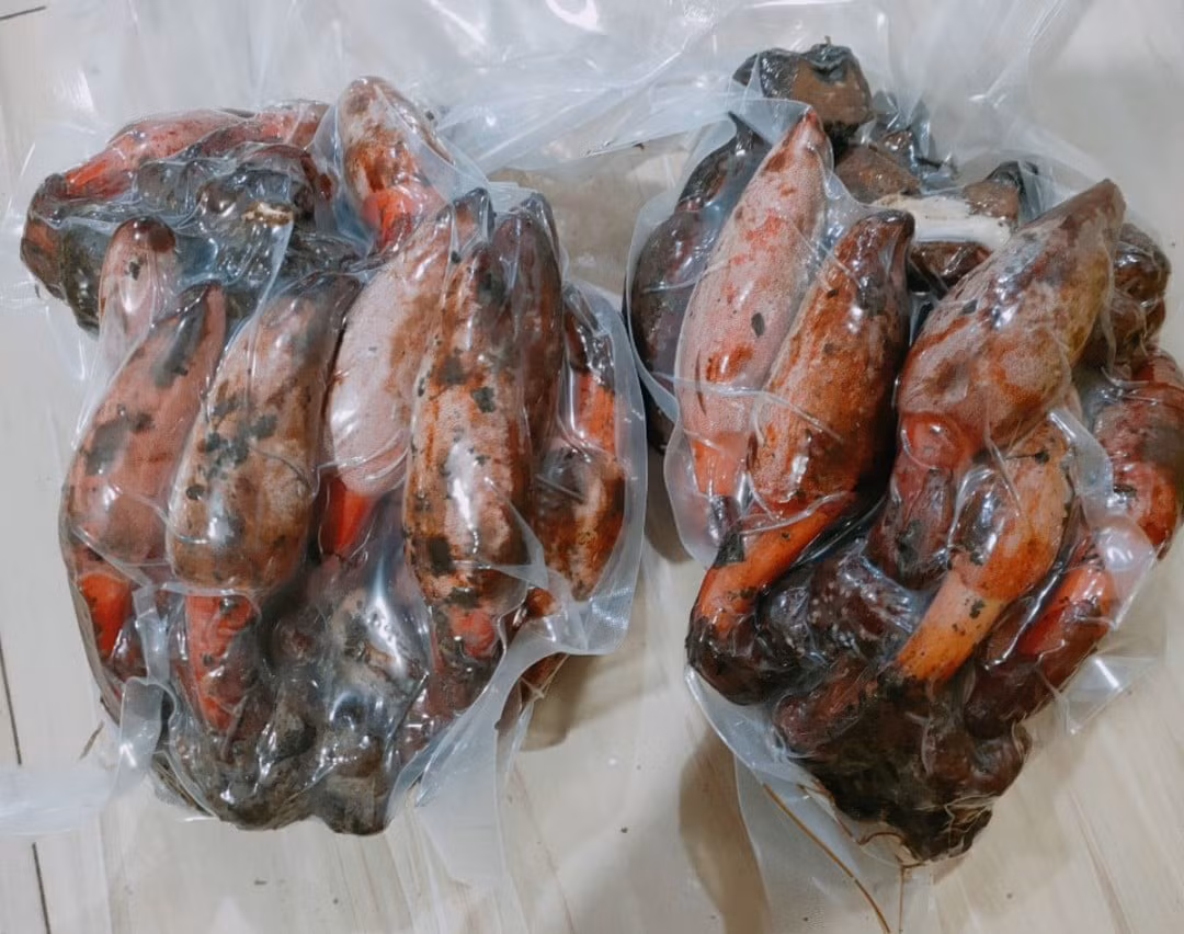 Loại đặc sản này thường mọc trong rừng sâu, tìm mua không dễ. Các tiểu thương phải gom nhiều mối mà mỗi tháng cũng chỉ thu mua được khoảng vài chục kg, rao bán chỉ 3-4 ngày là hết. Ảnh Facebook