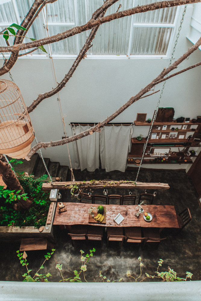 Phía trong nhà cũng được bố trí nhiều cây cảnh, mang đến không gian thư giãn.