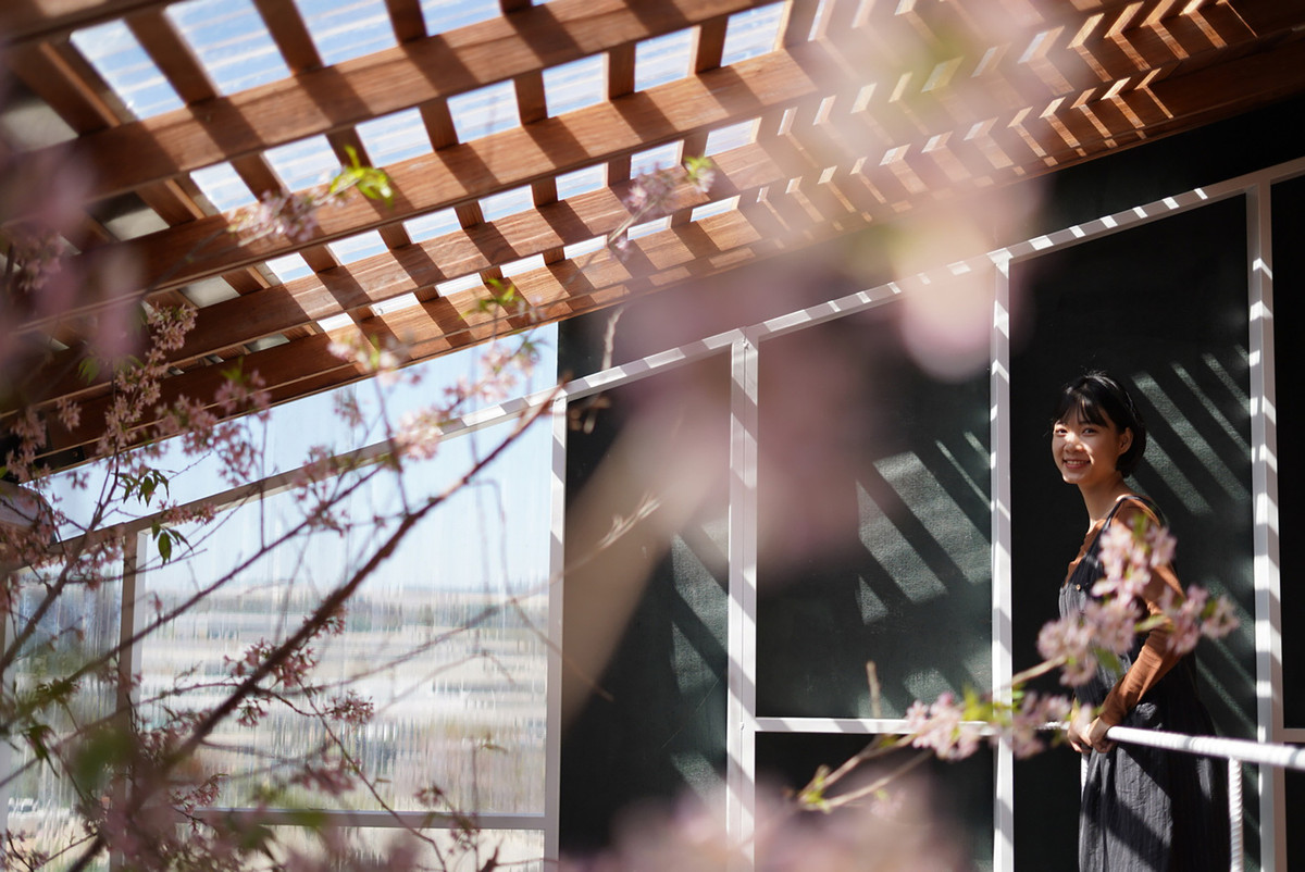 Hương thơm thoang thoảng của gỗ thông, phảng phất trong tiết trời se lạnh, dễ dàng tạo nên những giấc ngủ ngon. Nguồn ảnh: Dung Huynh, Long Arc