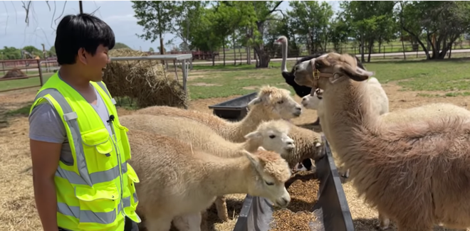 Anh tiết lộ sở hữu một khu rừng có giá bạc tỷ. Cách đây 2 năm nó có giá khoảng 38 - 40 tỷ đồng nhưng nay tổng giá trị lên tới 136 tỷ đồng nhờ đường cao tốc gần đó được mở rộng.