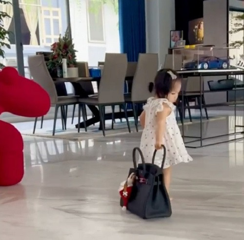 Chiếc túi xách có giá trị lên đến 700 triệu đồng, làm từ những nguyên vật liệu tốt nhất, đắt đỏ nhất trên thế giới.