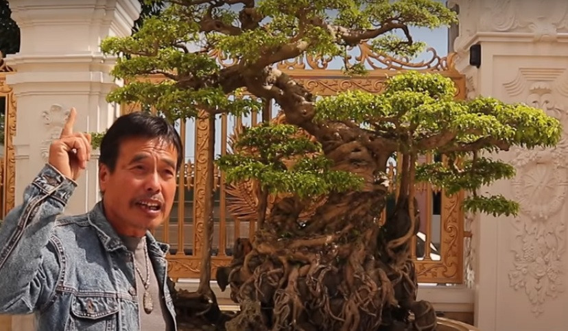 Dù vậy, ông cho rằng, nếu là chủ cây thì tự khen là chưa hẳn đúng, cây đẹp, giá trị hay không phải do người xem, người chơi quyết định. Ảnh chụp màn hình