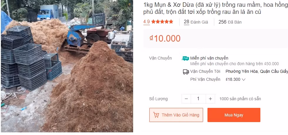 Với giá 10.000 đồng/kg, xơ dừa (đã xử lý) được khách hàng mua về trồng rau mầm, hoa hồng, hoa lan, ươm cây, phủ đất...