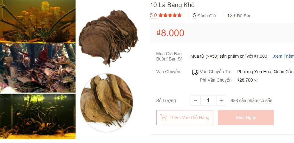 Lá bàng khô từng "gây sốt" khi có giá 1.000 đồng/lá.