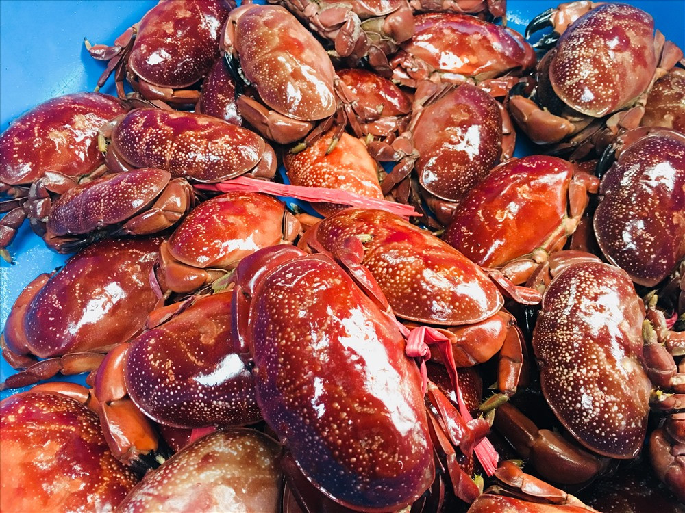 Giá rẻ lại có vị thơm, ngon nên cù kỳ được nhiều người yêu thích và săn lùng. Ảnh: Tieudung