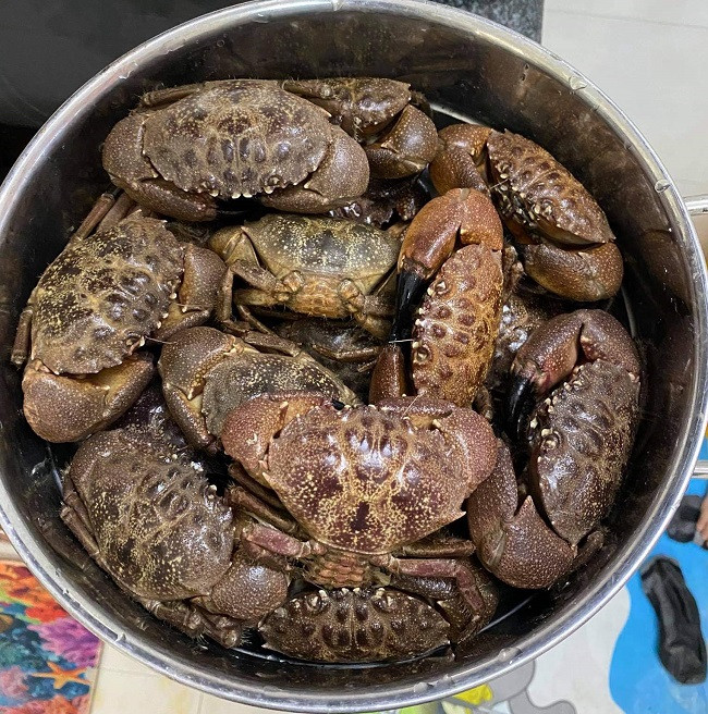 Nghe tên có vẻ lạ lùng nhưng cù kỳ được coi là đặc sản khá hút khách. Ảnh: Dân Việt