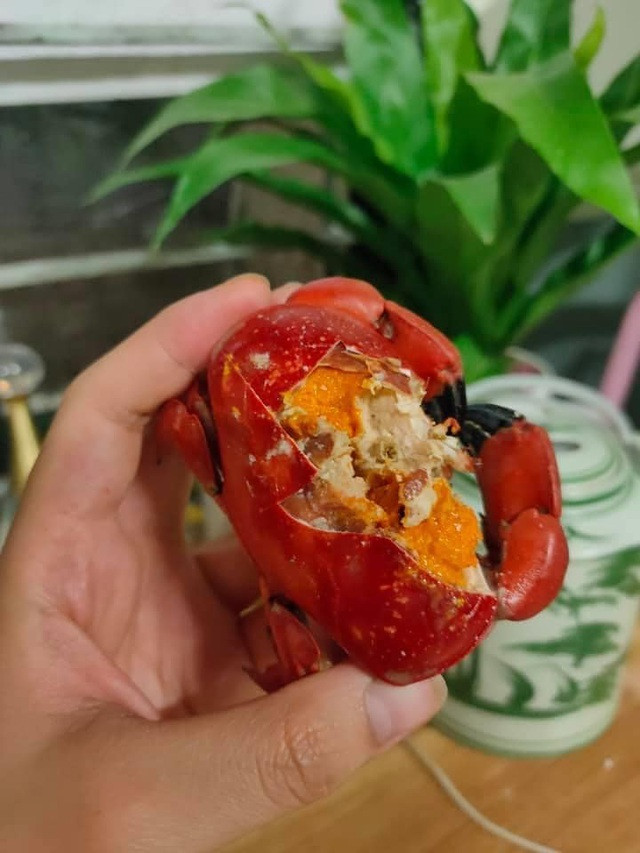 Do khá hút khách nên nghề săn bắt cù kỳ cũng trở thành nghề cho thu nhập chính của nhiều hộ gia đình. Mỗi lần đi biển, người dân có thể được khoảng 1 triệu đồng. Ảnh: Vietnamnet