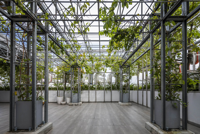 Vì thế, không gian được thiết kế để hòa nhập, không bị ngăn cách bởi tường hoặc sàn.