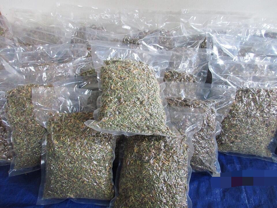 Người bán cho biết, hoa đu đủ đực không có nhiều, mỗi đợt chỉ gom được vài chục kg. Nhiều khách phải đặt cả tuần mới có hàng. Ảnh: Vietnammet