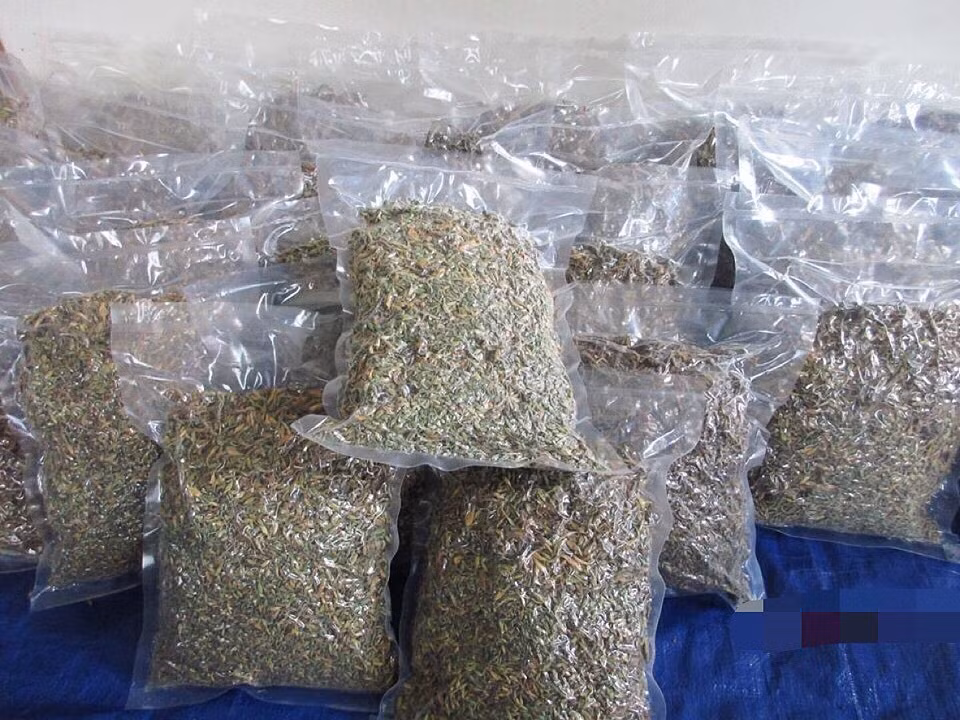 Người bán cho biết, hoa đu đủ đực không có nhiều, mỗi đợt chỉ gom được vài chục kg. Nhiều khách phải đặt cả tuần mới có hàng. Ảnh: Vietnammet