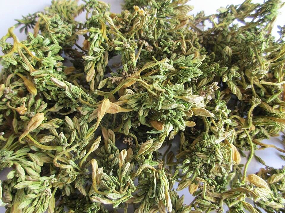 Trong khi đó, hoa đu đủ đực sấy khô còn có giá lên tới 600.000 - 800.000 đồng/kg. Thậm chí, có thời điểm khan hàng giá còn lên tới hơn 1 triệu đồng/kg. Ảnh: Vietnamnet