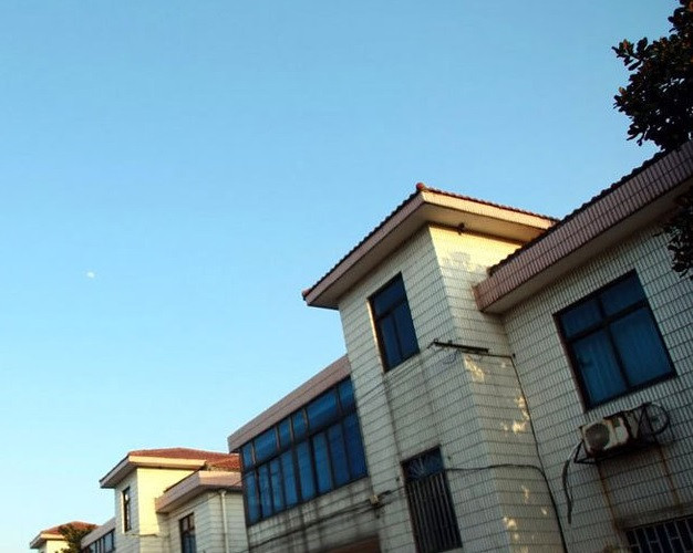 Đặc biệt, người dân trong làng Trường Giang còn được miễn phí một lượng điện và nước hàng tháng. Ảnh: QQ