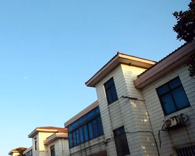 Đặc biệt, người dân trong làng Trường Giang còn được miễn phí một lượng điện và nước hàng tháng. Ảnh: QQ