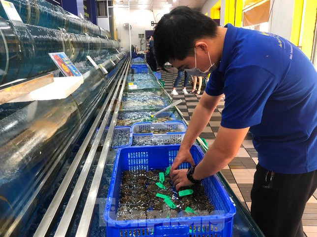 Cua long nhap khau gia tien trieu, ve toi dau het toi do