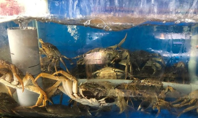 Cua long nhap khau gia tien trieu, ve toi dau het toi do-Hinh-2