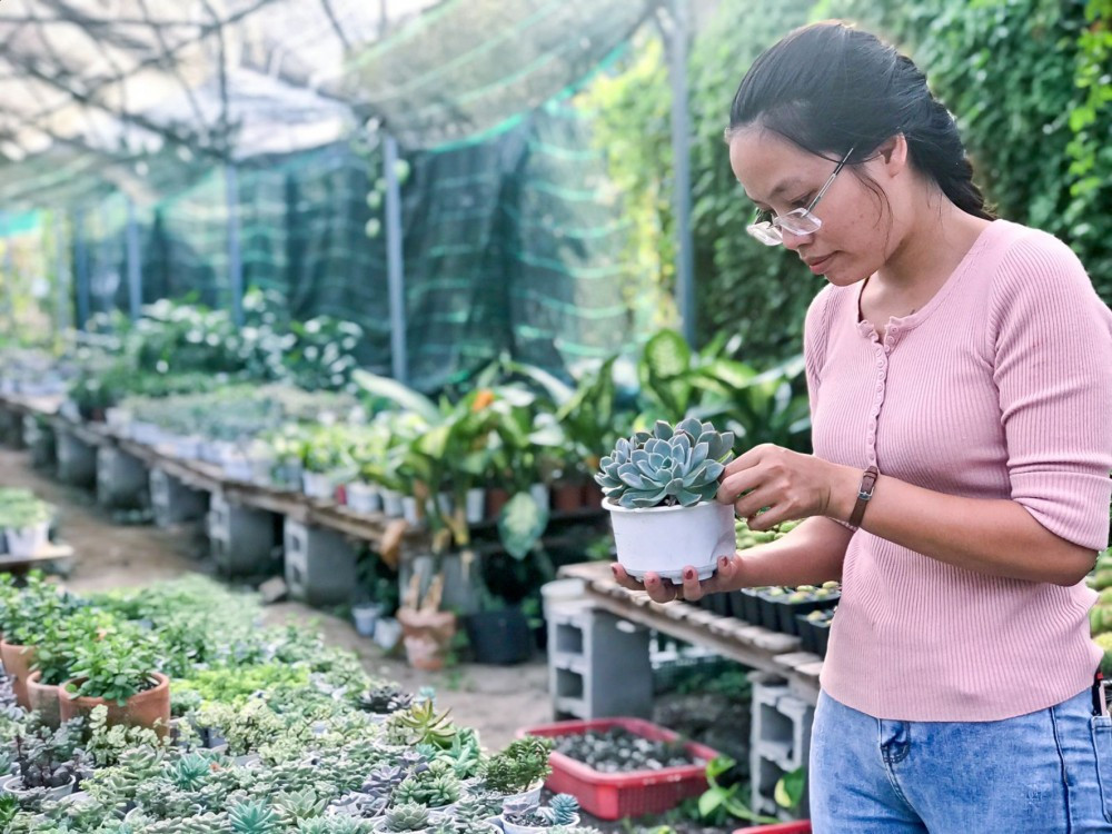 Trang trại của Thảo rộng khoảng 750m2, với hơn 50.000 cây xương rồng, sen đá. Ảnh: Baocantho