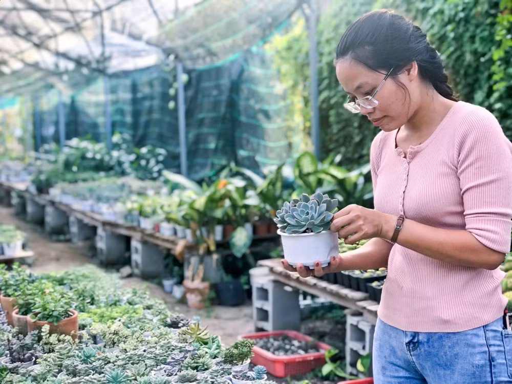 Trang trại của Thảo rộng khoảng 750m2, với hơn 50.000 cây xương rồng, sen đá. Ảnh: Baocantho