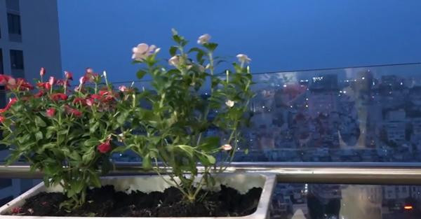 Đây cũng là nơi mà vợ chồng Lâm Khánh Chi lựa chọn để nhìn toàn bộ khung cảnh thành phố về đêm. Ảnh: Giadinh