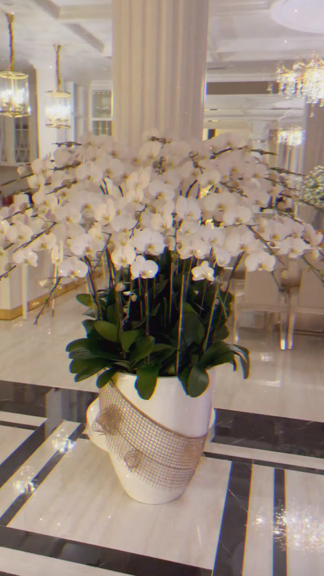 Trước đó, Lệ Quyên khiến dân tình choáng váng khi chia sẻ 3,6 tỷ chỉ đủ mua cái cổng nhà.