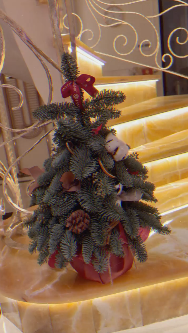 Mọi ngóc ngách đều lộng lẫy và ấm áp.