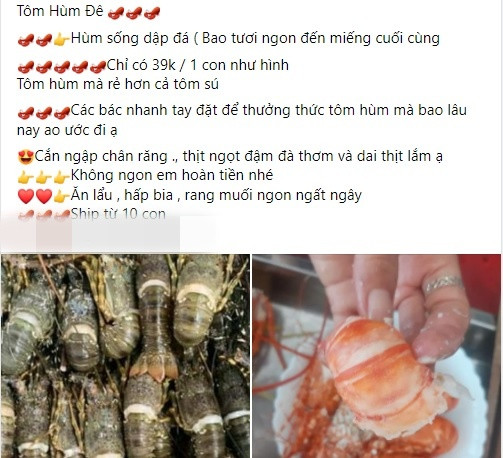 Theo quảng cáo của người bán, tôm hùm rẻ hơn tôm sú. Tôm này là tôm yếu dập đá nhưng thịt vẫn đảm bảo tươi ngon, ngọt. Ảnh chụp màn hình