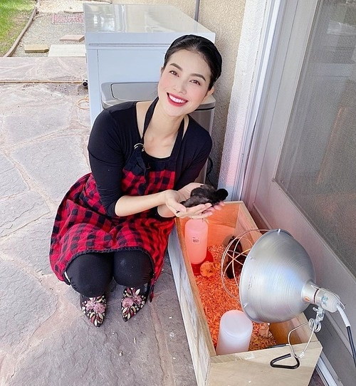 Phạm Hương còn tự nuôi gà trong những ngày nghỉ dịch ở Mỹ.