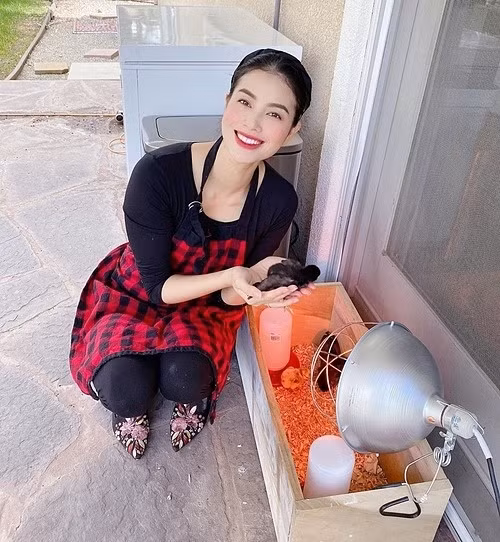 Phạm Hương còn tự nuôi gà trong những ngày nghỉ dịch ở Mỹ.