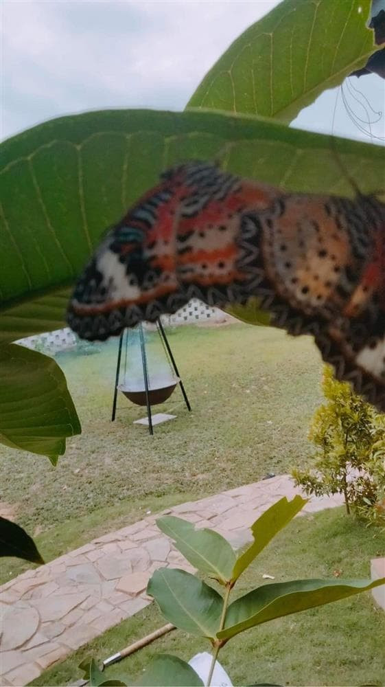 Lời giới thiệu của anh trai danh hài có nhắc tới Destiny - con gái Trường Giang - Nhã Phương. Vì điều này, nhiều người cho rằng anh trai Trường Giang lấp lửng khoe cơ ngơi mới của vợ chồng Nhã Phương ở một nơi nào đó, ngoài TP.HCM.