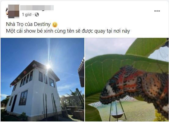 Trước đó, anh trai nam danh hài từng khoe ảnh căn nhà, kèm dòng chú thích: "Nhà trọ của Destiny. Một cái show bé xinh cùng tên sẽ được quay tại nơi này".
