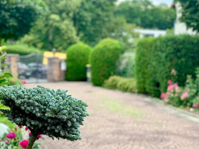 Gia đình Mỹ Lệ sống trong căn biệt thự nguy nga như cung điện, có khu vườn rộng tới 1.400m2. Nguồn ảnh: FBNV