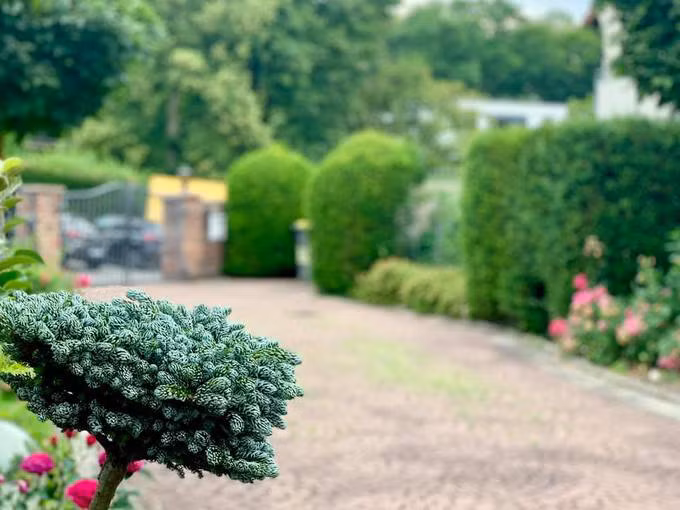 Gia đình Mỹ Lệ sống trong căn biệt thự nguy nga như cung điện, có khu vườn rộng tới 1.400m2. Nguồn ảnh: FBNV