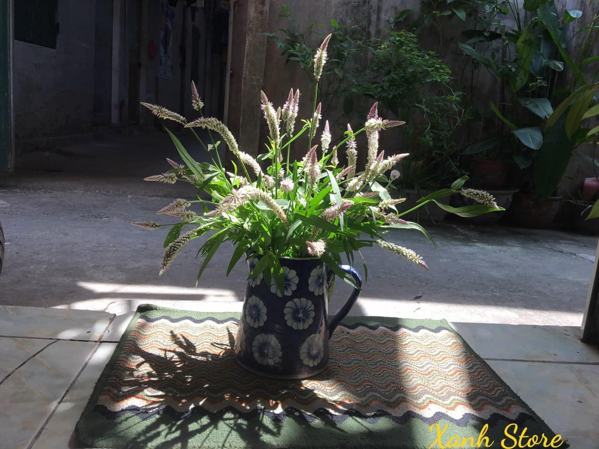 Với giá dao động từ 70.000-100.000 đồng/bó, các tiểu thương có thể kiếm được khoảng 2-3 triệu đồng mỗi ngày. Ảnh: Xanh Store