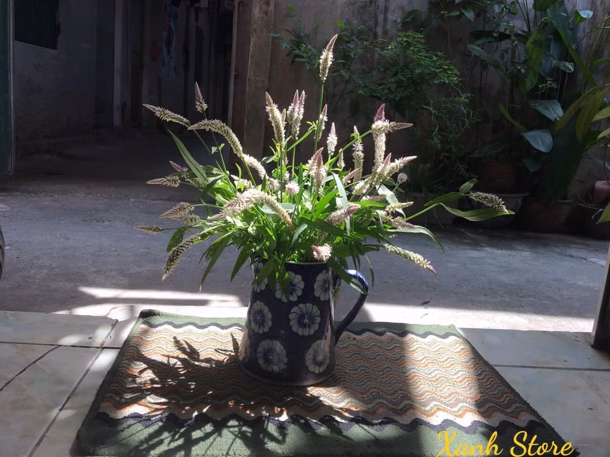 Với giá dao động từ 70.000-100.000 đồng/bó, các tiểu thương có thể kiếm được khoảng 2-3 triệu đồng mỗi ngày. Ảnh: Xanh Store