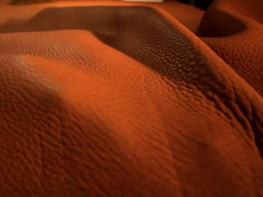 Nhiều miếng da làm túi Hermmes được nhuộm màu. Do đó, túi Hermès có nhiều màu sắc và chất da khác nhau.