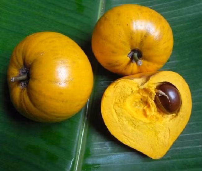 Tính ra, mỗi kg bột trứng gà có giá lên tới 1,9 triệu đồng/kg. Ảnh: Internet