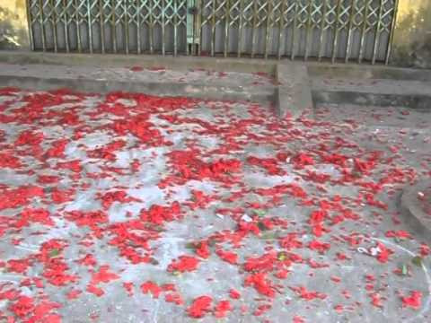 Quang Ninh: Tim ra nguoi chiu trach nhiem vu dot phao Tet