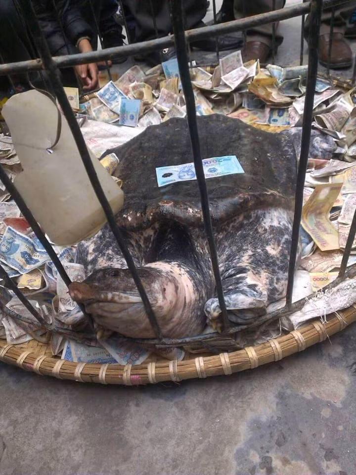 Vu nem tien vao ba ba khung o Hai Phong: UBND huyen vao cuoc