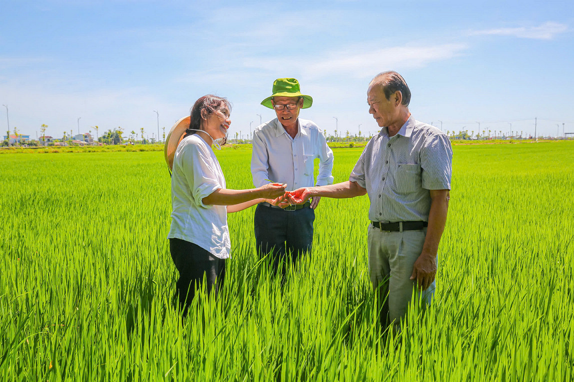 Nho An Cuu - song xua soi bong nhung mua vang-Hinh-2