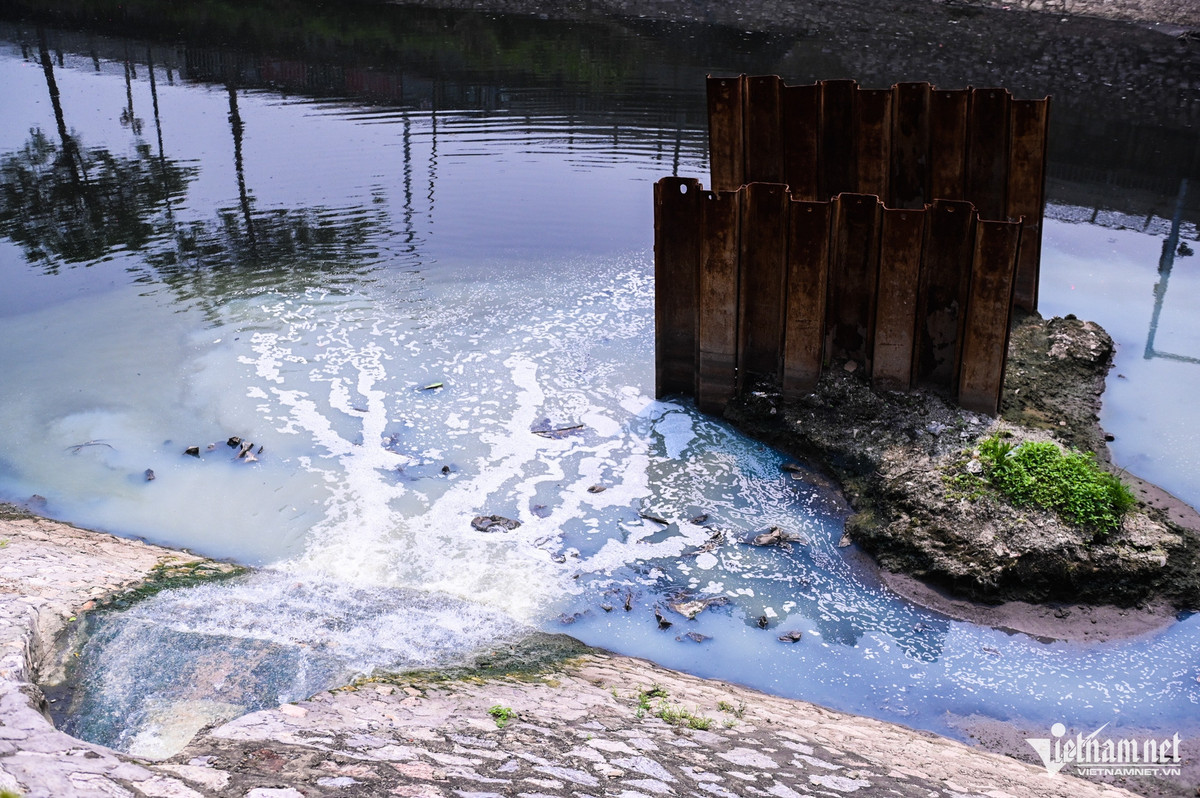 Sau nhiều năm với nhiều dự án thí điểm, sông Tô Lịch vẫn bị ô nhiễm, không khác gì ao tù, cống nước lộ thiên hứng chịu hàng trăm nghìn m3 nước thải sinh hoạt ngày đêm xả thẳng xuống. Những ngày đầu tháng 7, hồ Tây xả nước dẫn dòng cho Tô Lịch, người dân bất ngờ con sông đầy nước, xanh ngắt. Nhưng chỉ 1 ngày sau đó, màu đen đặc lại xuất hiện.