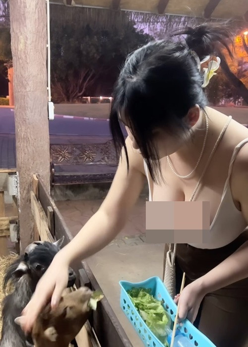 Mới đây, hot girl Jeon Ji Eun gây xôn xao vì mặc táo bạo khi cho dê ăn.
