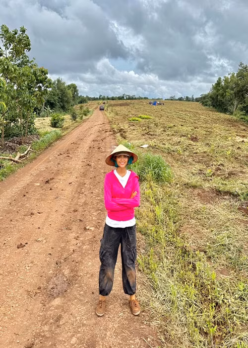 Về quê, H'hen Niê tham gia trồng cây cà phê cùng gia đình.