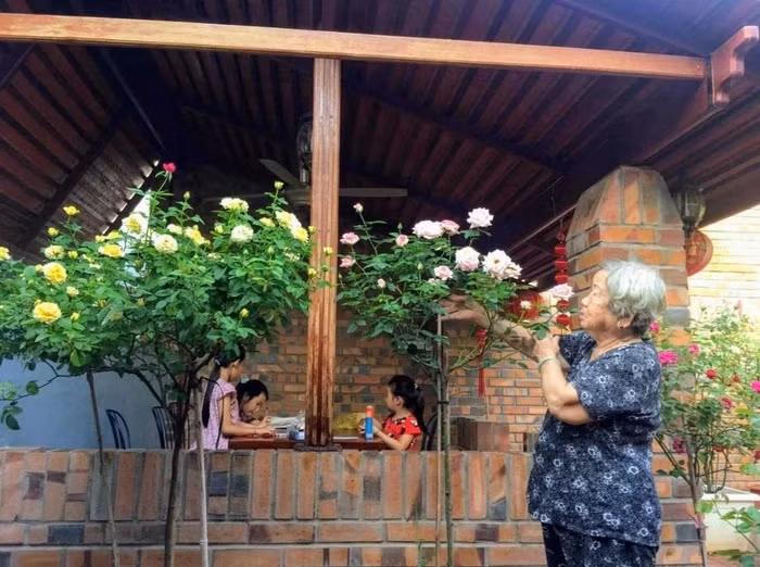 Vo chong U90 lam vuon hoa hong hang chuc goc o Binh Duong-Hinh-2